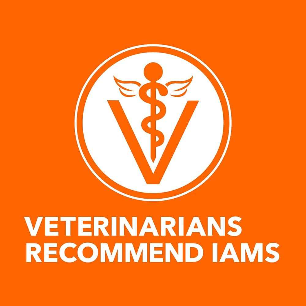 Iams Proactive Health Adult Sensitive Digestion & Skin Dry Cat Food