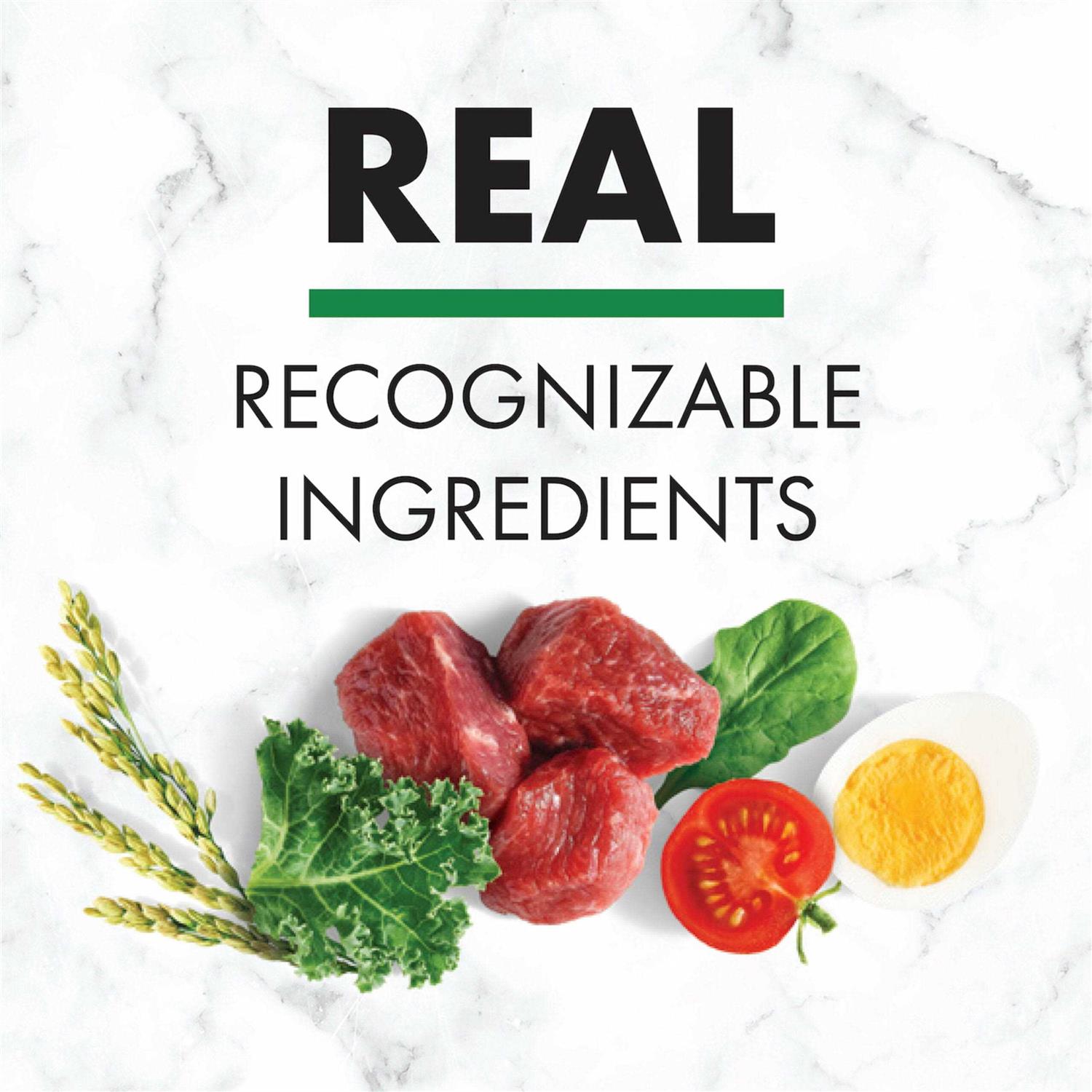 Nutro Natural Choice Adult Lamb & Brown Rice Recipe Dry Dog Food