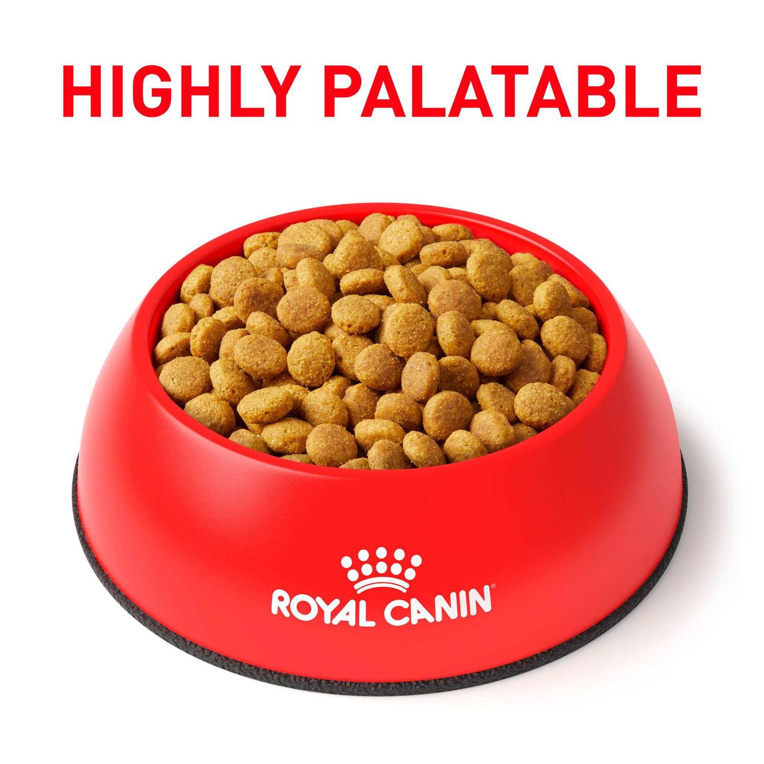 Royal Canin Veterinary Diet Cat Food