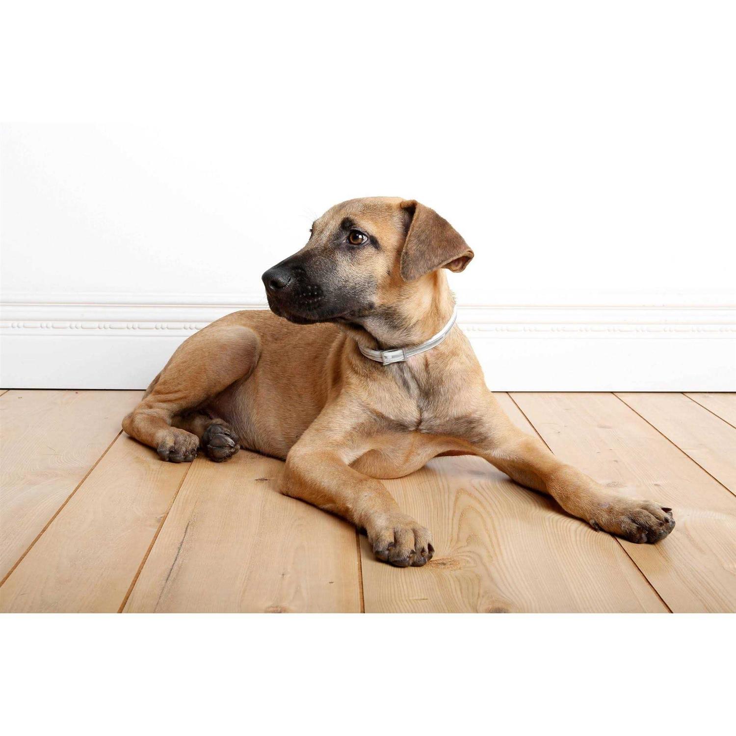 Hartz UltraGuard Pro Flea & Tick Collar for Dogs