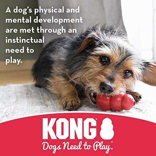 KONG Dog Toy