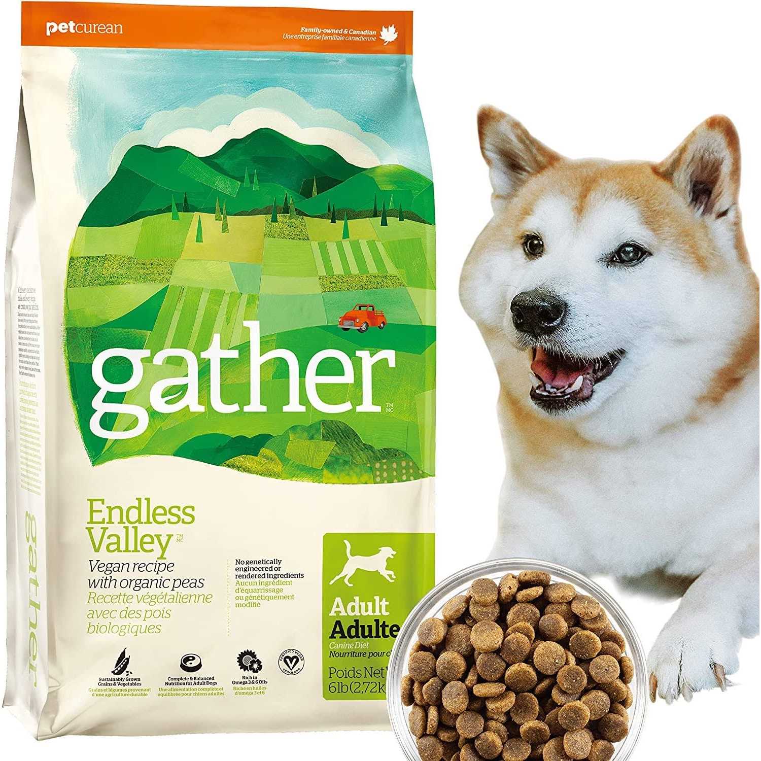 Gather Endless Valley Vegan Recipe with Organic Peas Adult Dry Dog Food