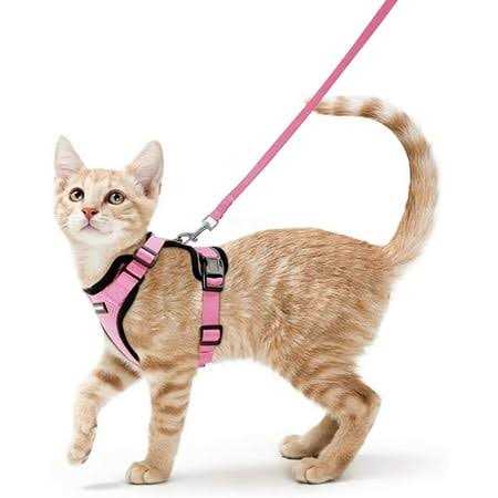 Rabbitgoo Cat Harness and Leash for Walking Escape Proof Soft Adjustable Vest Harnesses for Cats