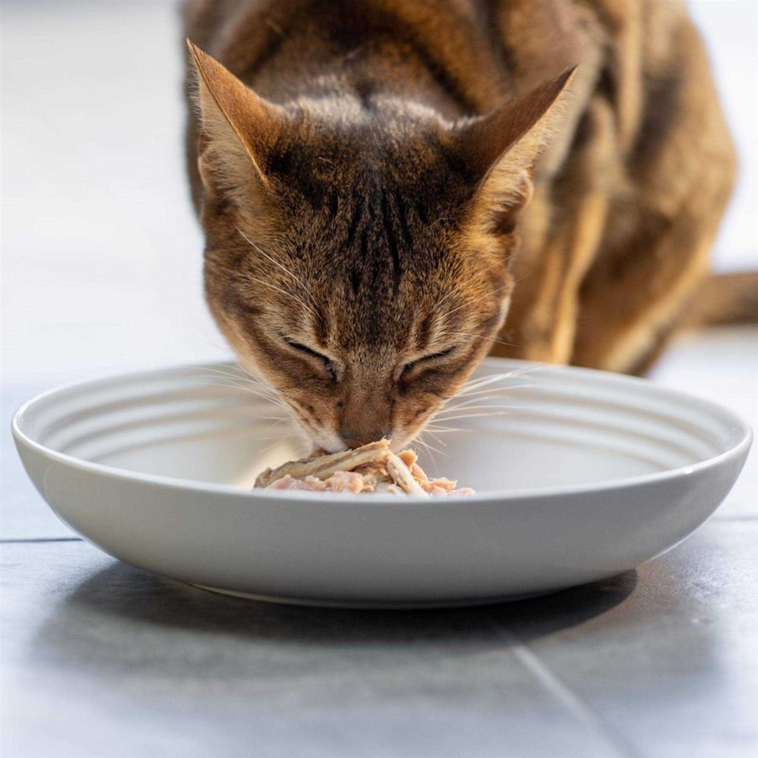 Reveal Natural Wet Cat Food Fish Variety Pack in Broth