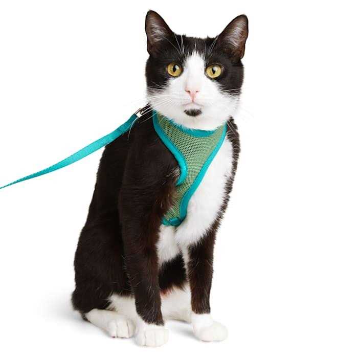 YOULY Basic Green Cat Harness