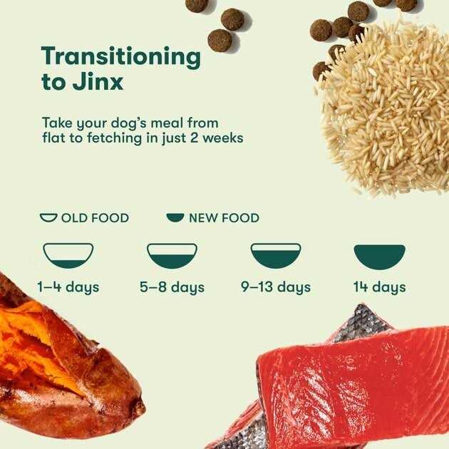 Jinx Salmon Brown Rice & Sweet Potato Dry Dog Food