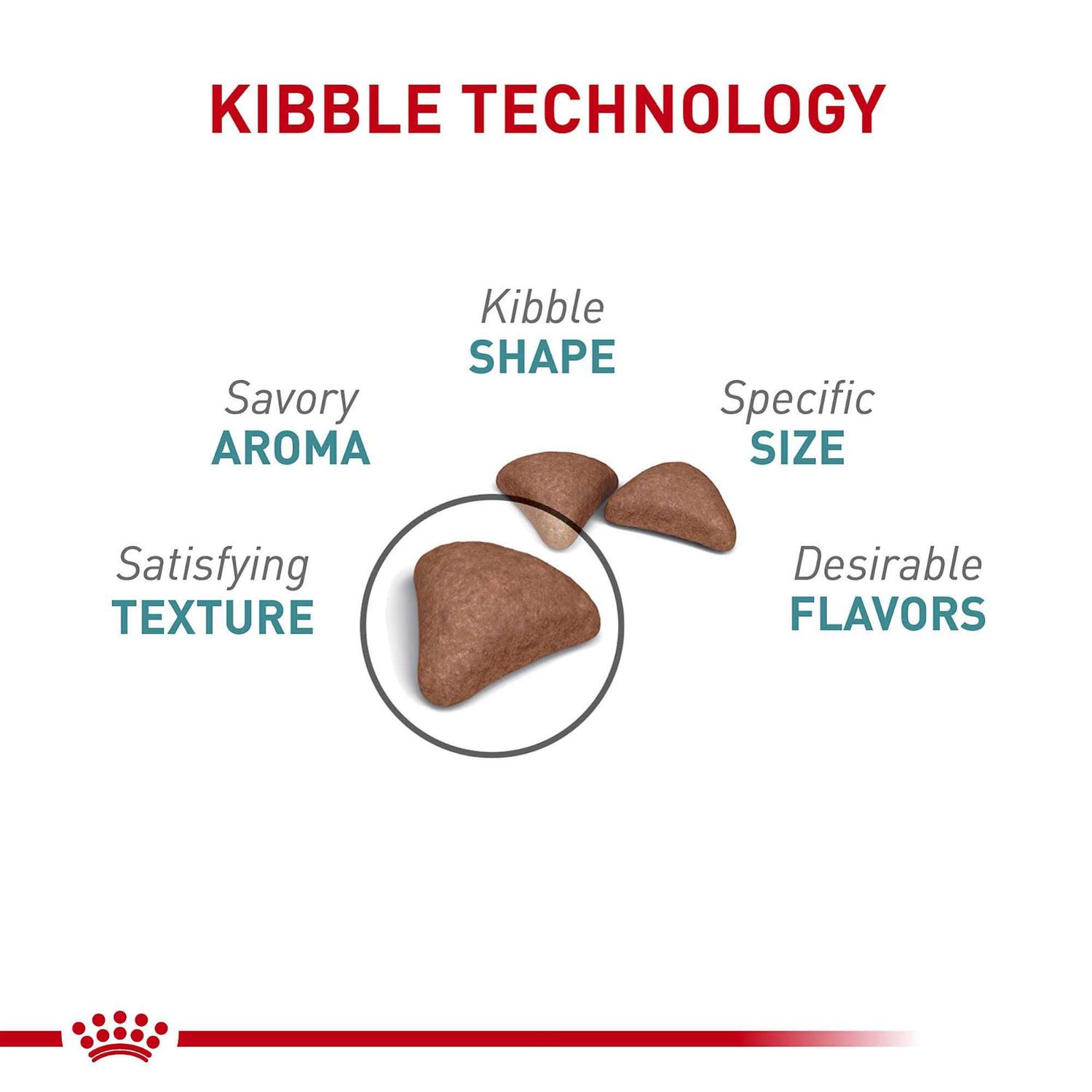 Royal Canin Indoor Intense Hairball 34 Cat Dry Food