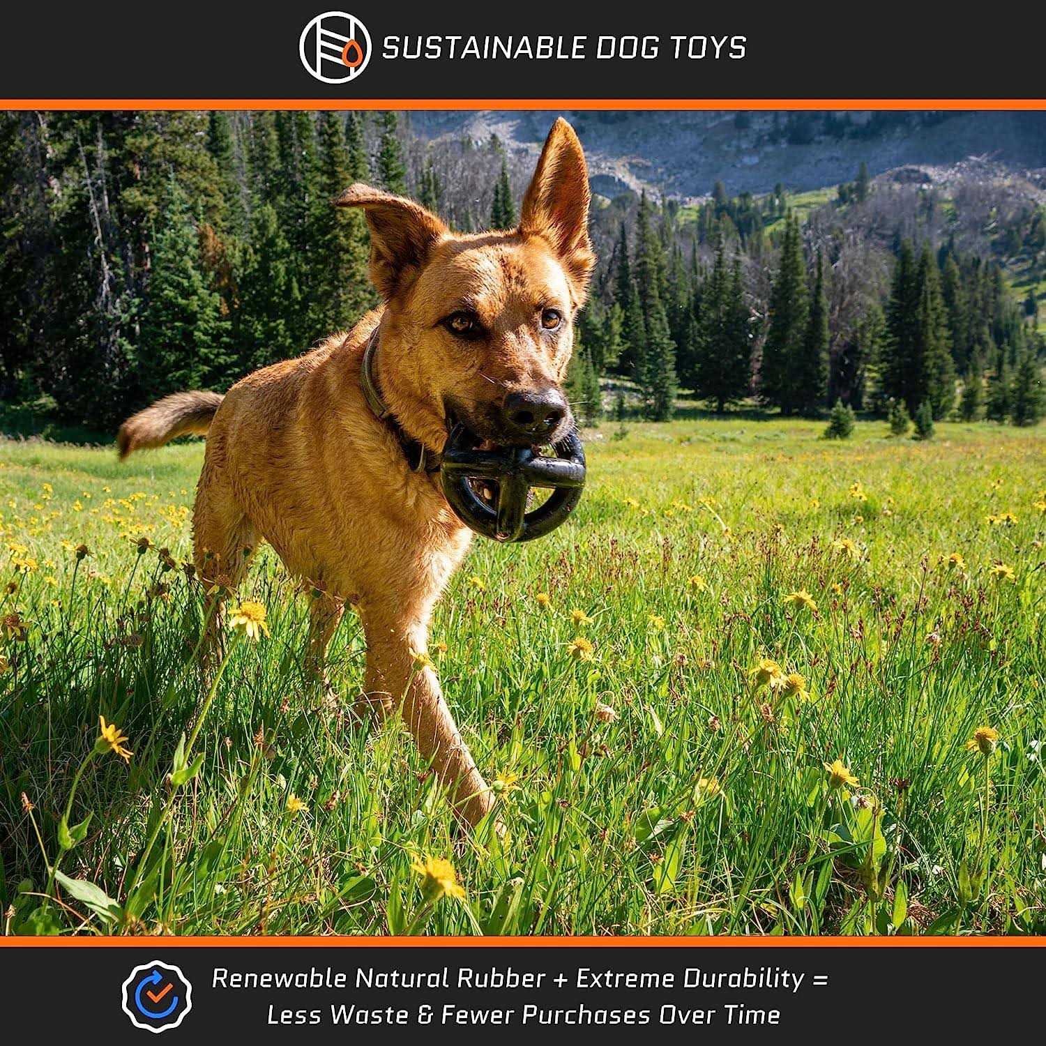 Monster K9 Dog Toys Monster K9 Tough Dog Toys for Aggressive Chewers Large Breed