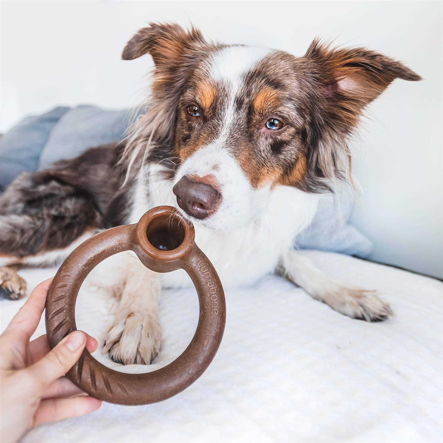 Lumabone Ring Stuffer Durable Chew Toy for Aggressive Chewers