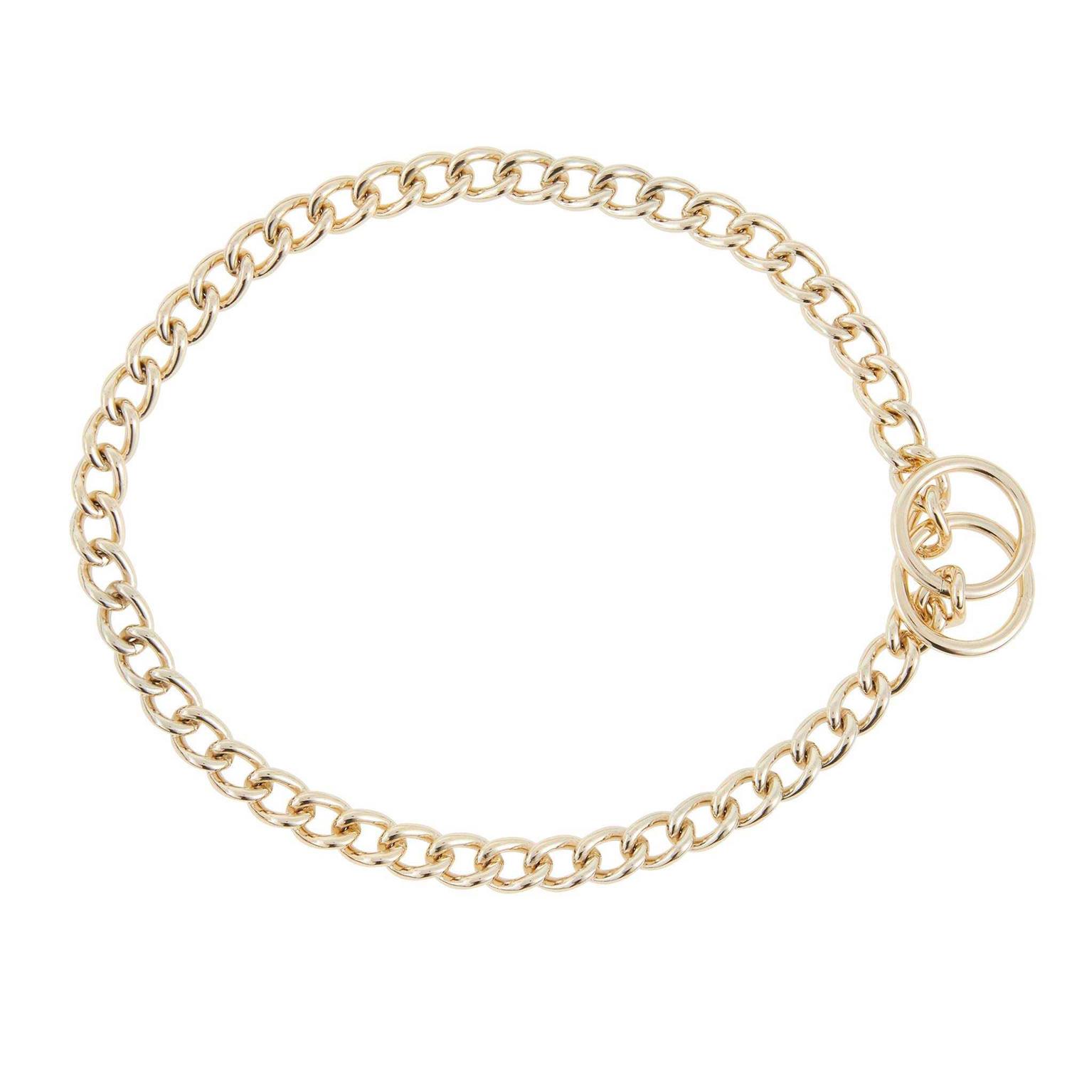 Top Paw Choke Chain Dog Collar