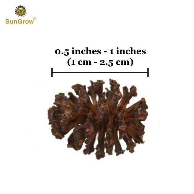 SunGrow Shrimp Breeding Aquarium Tank Water Conditioner & Food Alder Cones