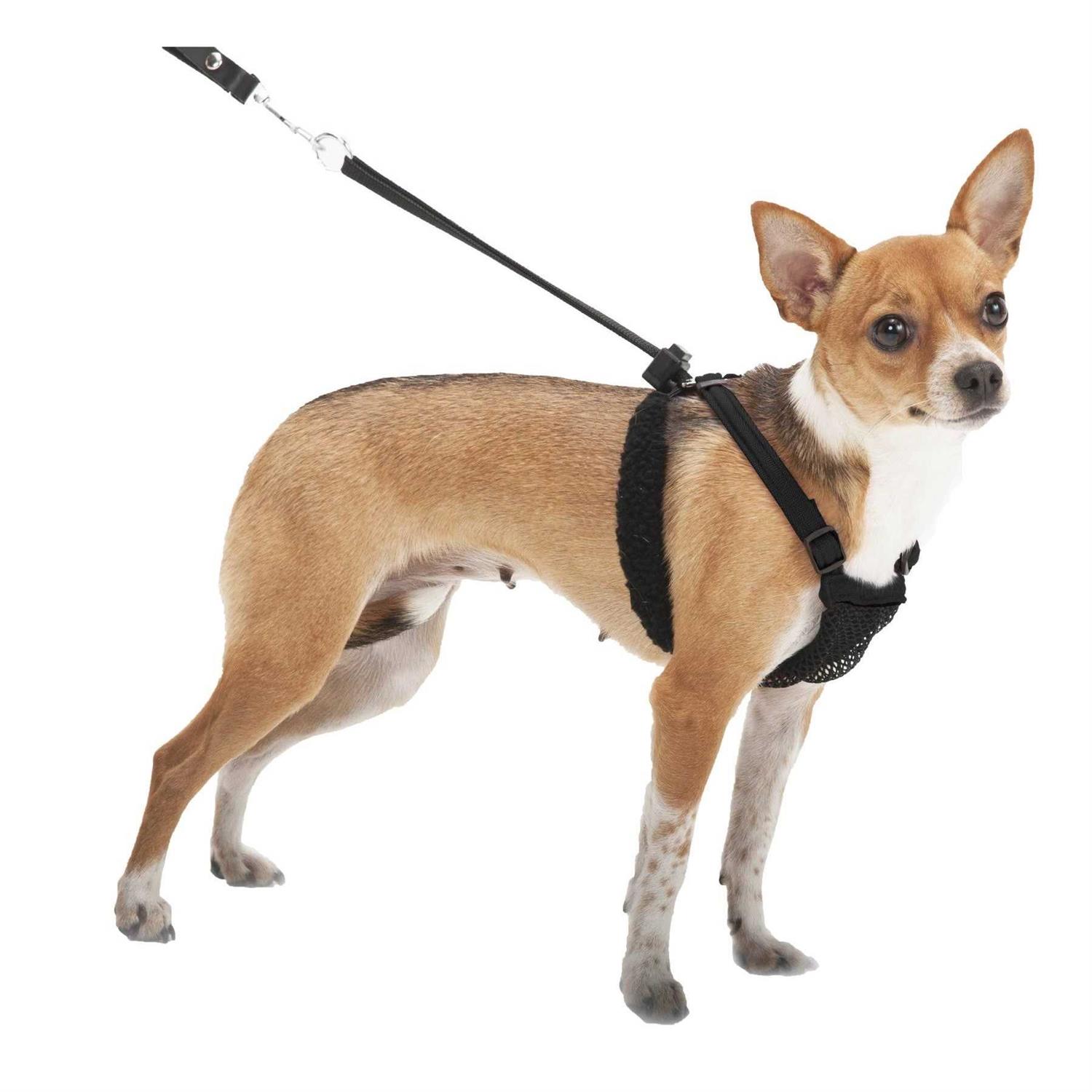 Sporn Mesh Non Pull Dog Harness