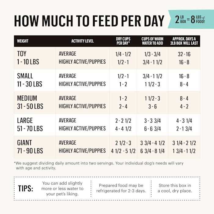 The Honest Kitchen Dehydrated Grain Free Beef Dog Food