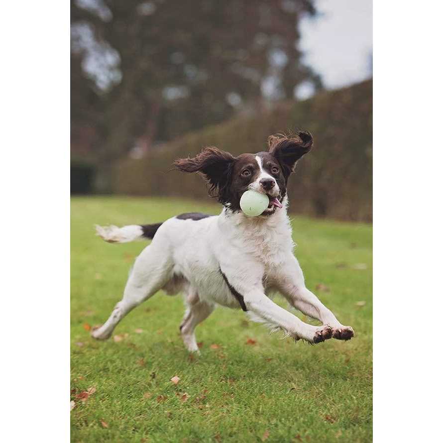 ChuckIt! Max Glow Ball