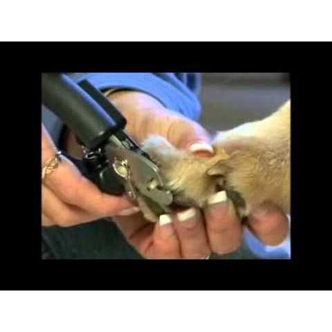 Miracle Care QuickFinder Deluxe