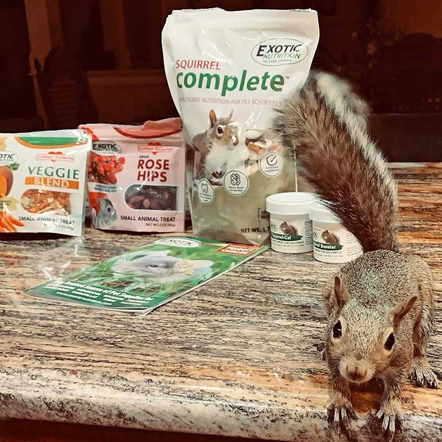 Squirrel Food Starter Package Includes Nutritionally Complete Diet