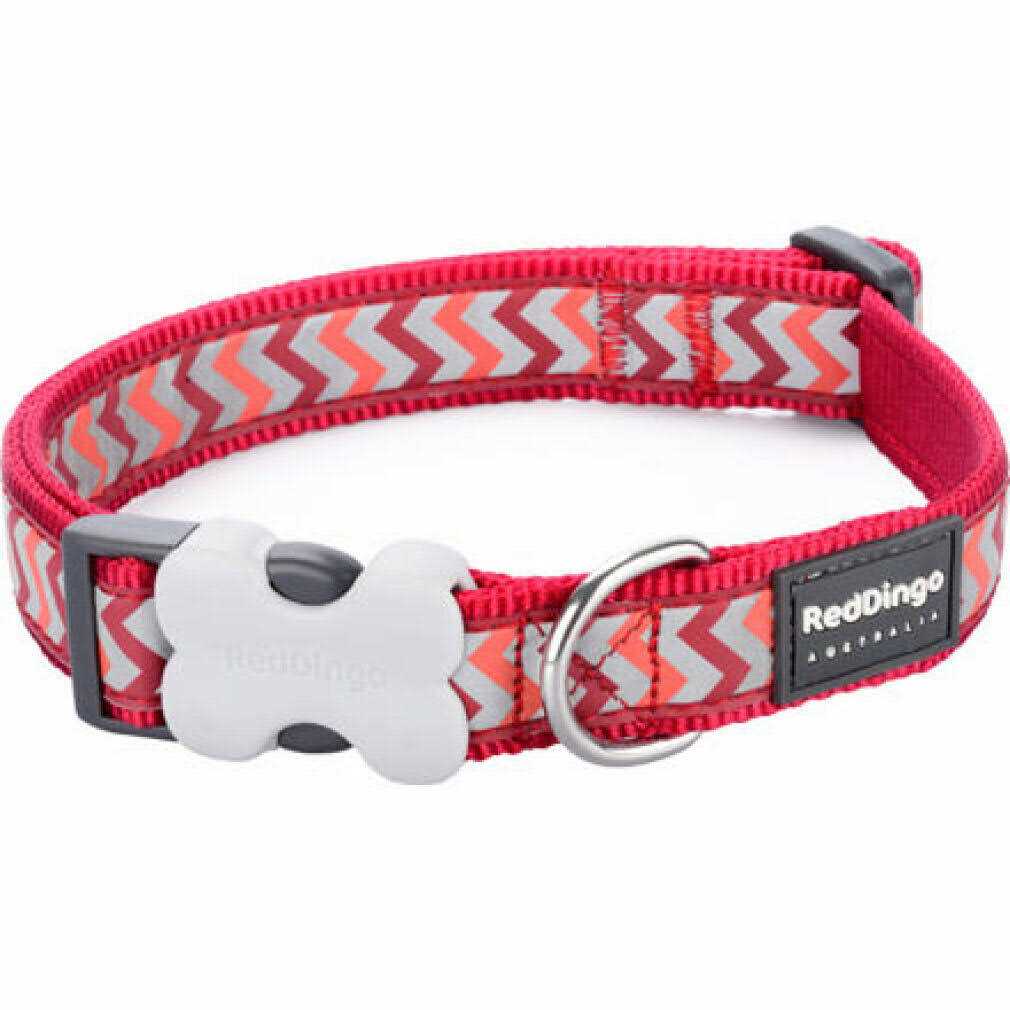 Red Dingo Dog Collar
