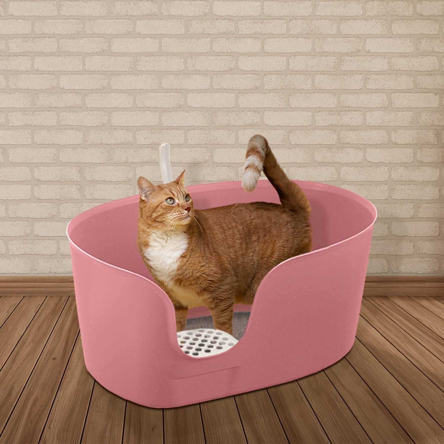 Richell PAW TRAX High Wall Cat Litter Box XL