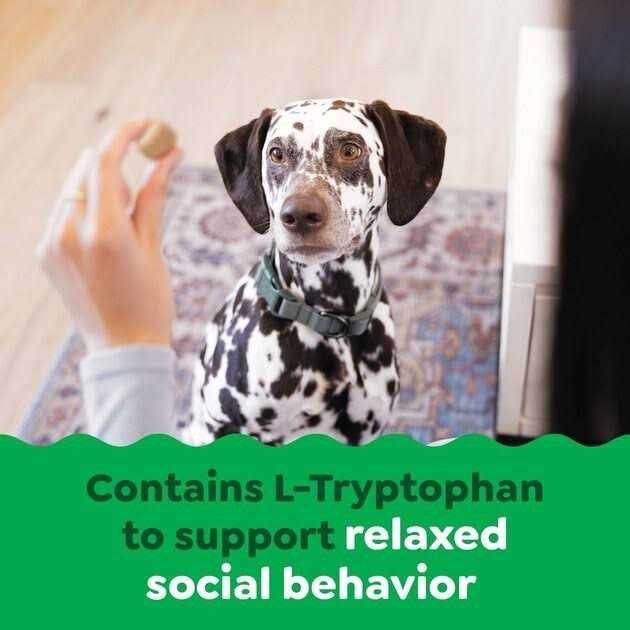 Greenies Supplements Calming Chews for Dogs Chicken Flavor