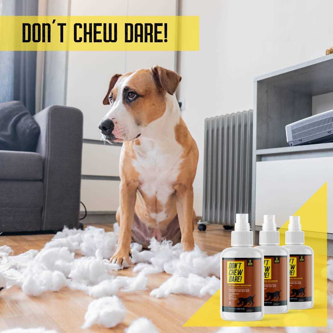 Zone Protects Don’t Chew Dare! Indoor Dog Chewing Prevention Spray