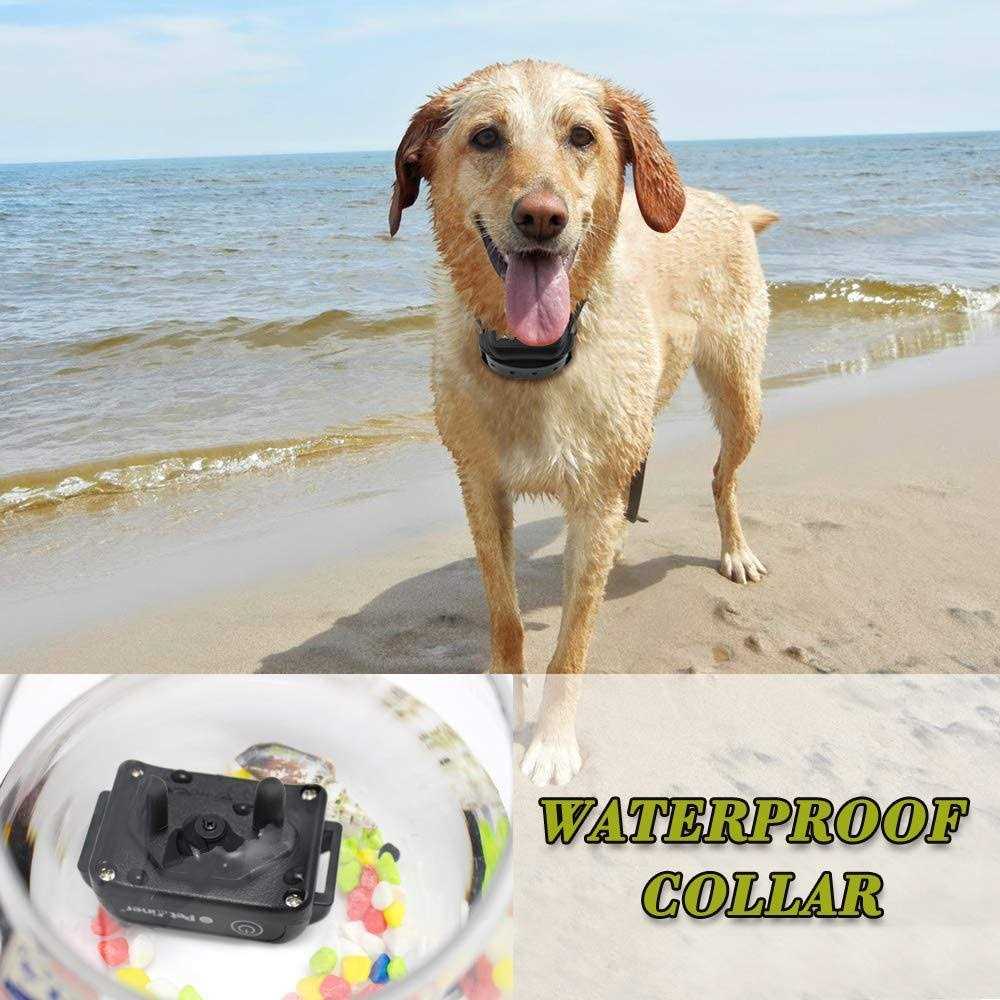 Petrainer Upgraded Model Rechargeable & Waterproof Remote Dog Training Collar 330 yd Electric Dog Bark Collar with Beep/Vibration/Shock Collar