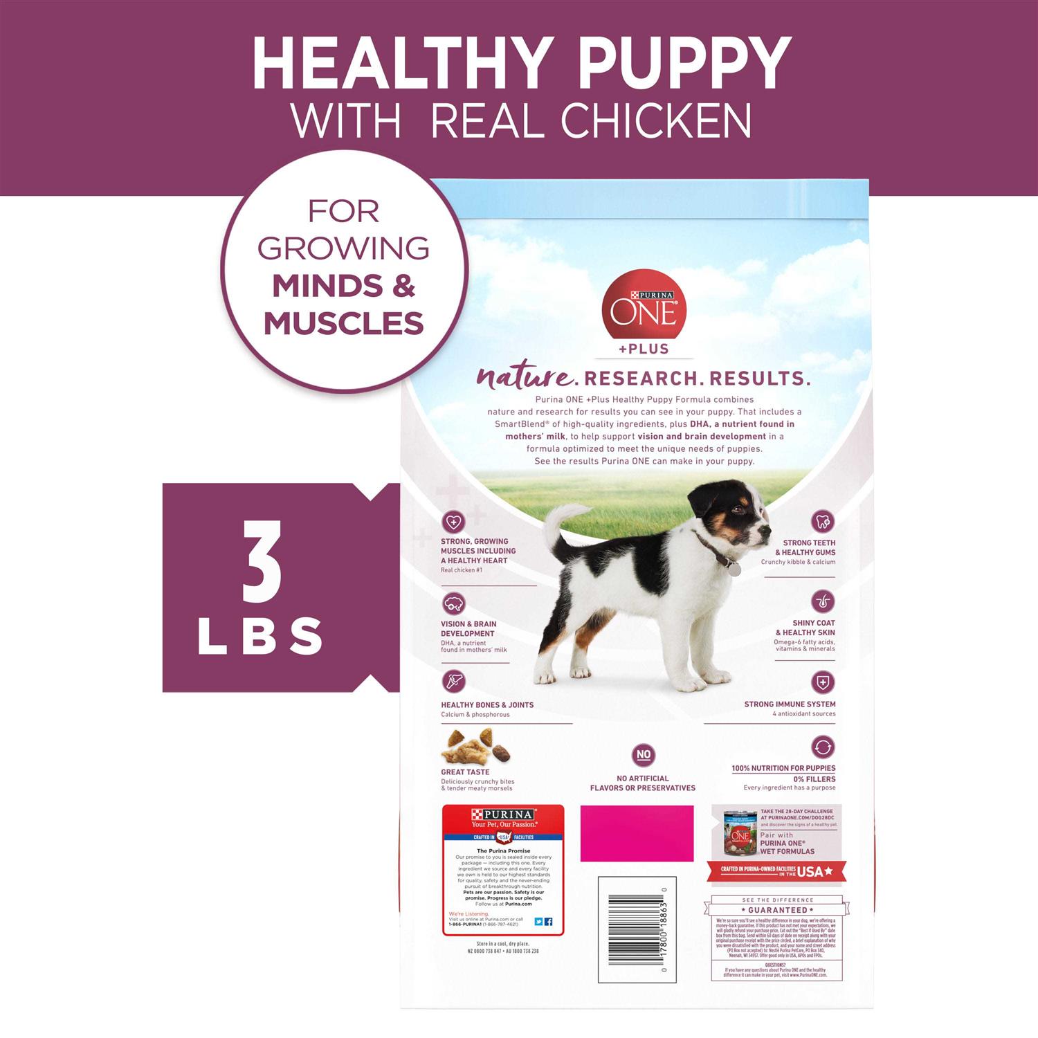 Purina ONE Healthy Puppy Formula High Protein Dry Dog Food