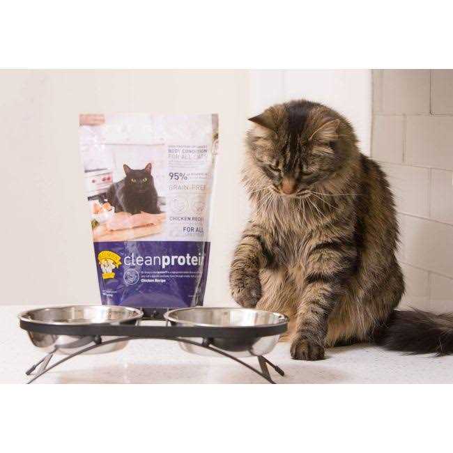 Dr. Elsey&s cleanprotein Chicken Formula Dry Cat Food