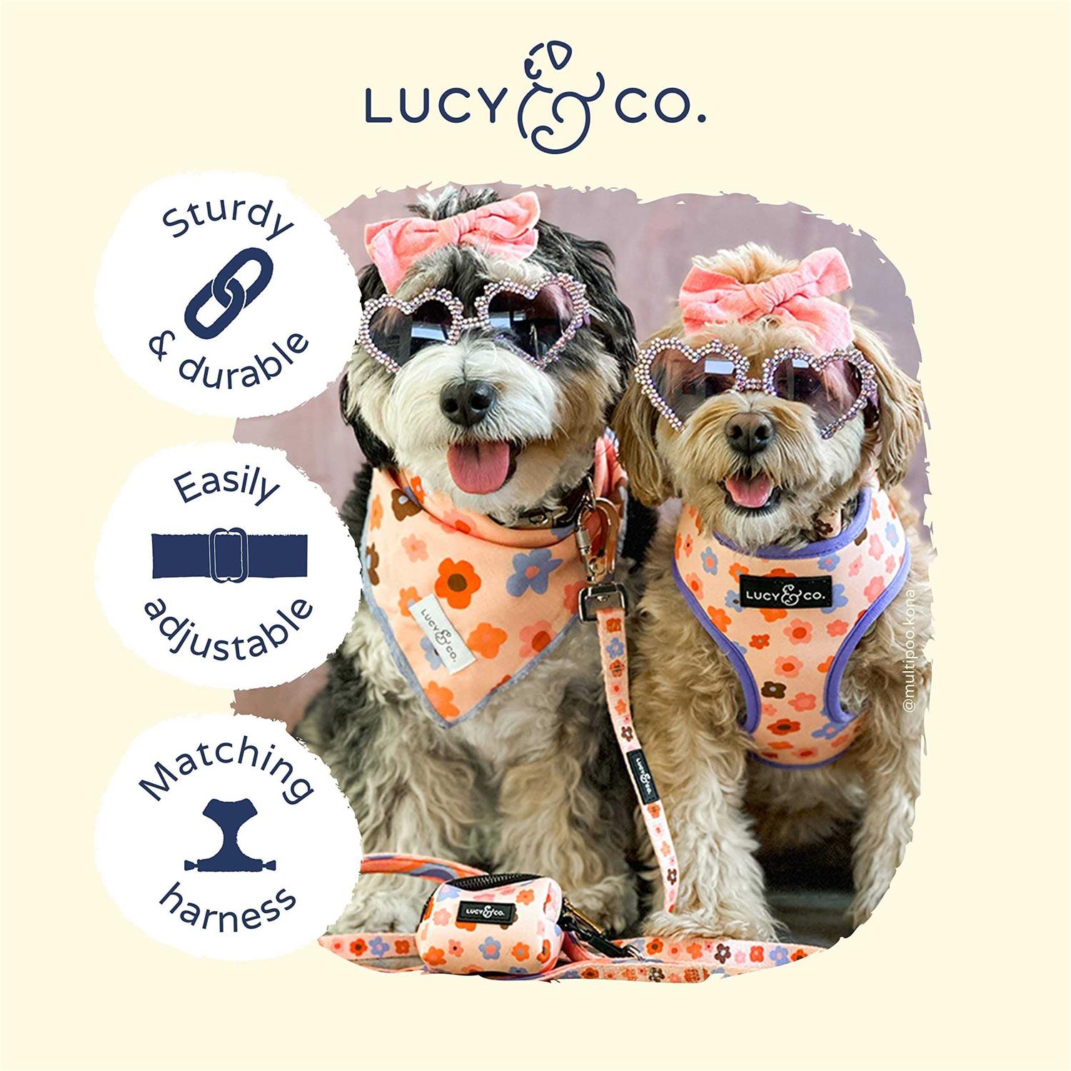 Lucy & Co. Have A Nice Day Dog Collar – Durable Lightweight Designer Collar for Pets – Adjustable Metal Safety Buckel – Lime Green Blue Checker –