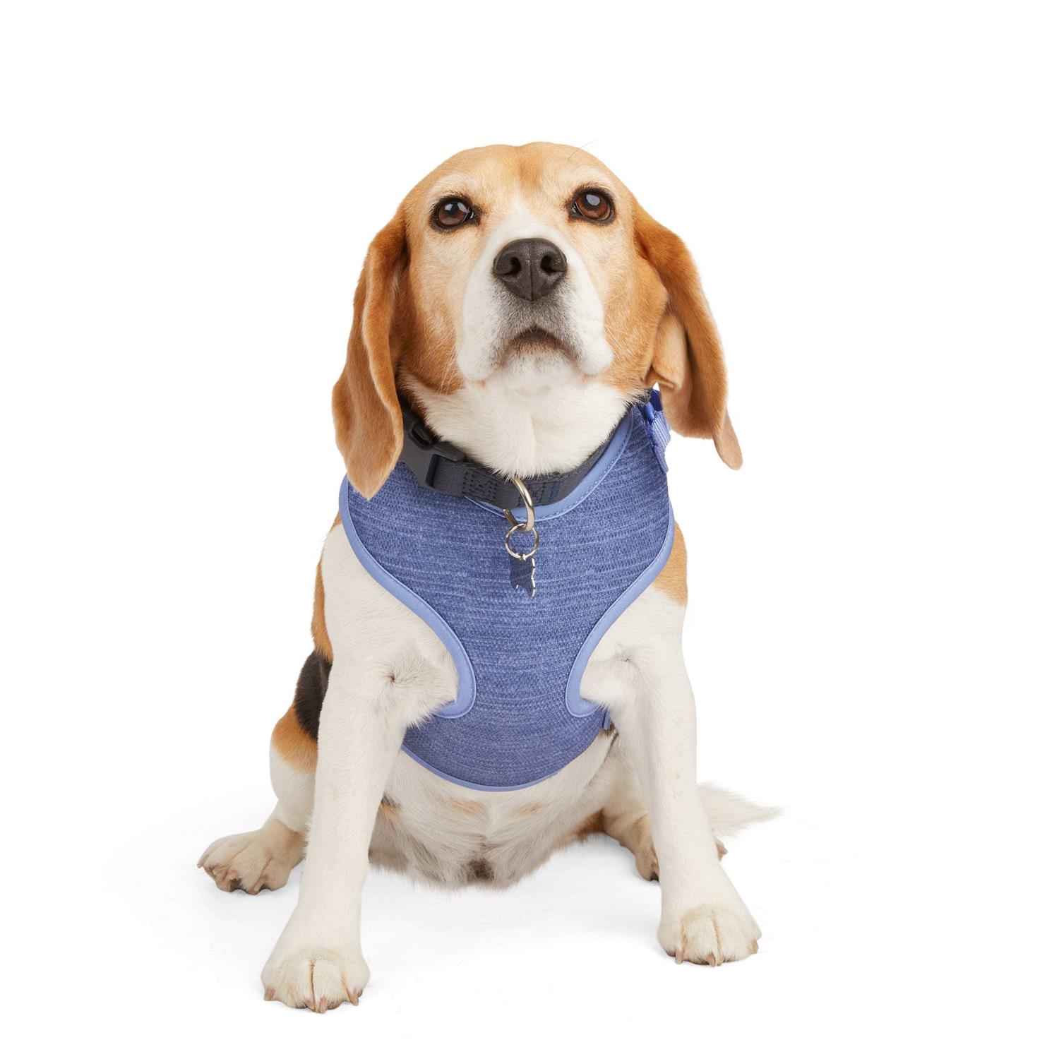 EveryYay Heather Pullover Dog Harness