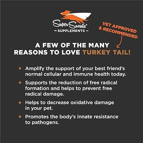 Super Snouts Turkey Tail