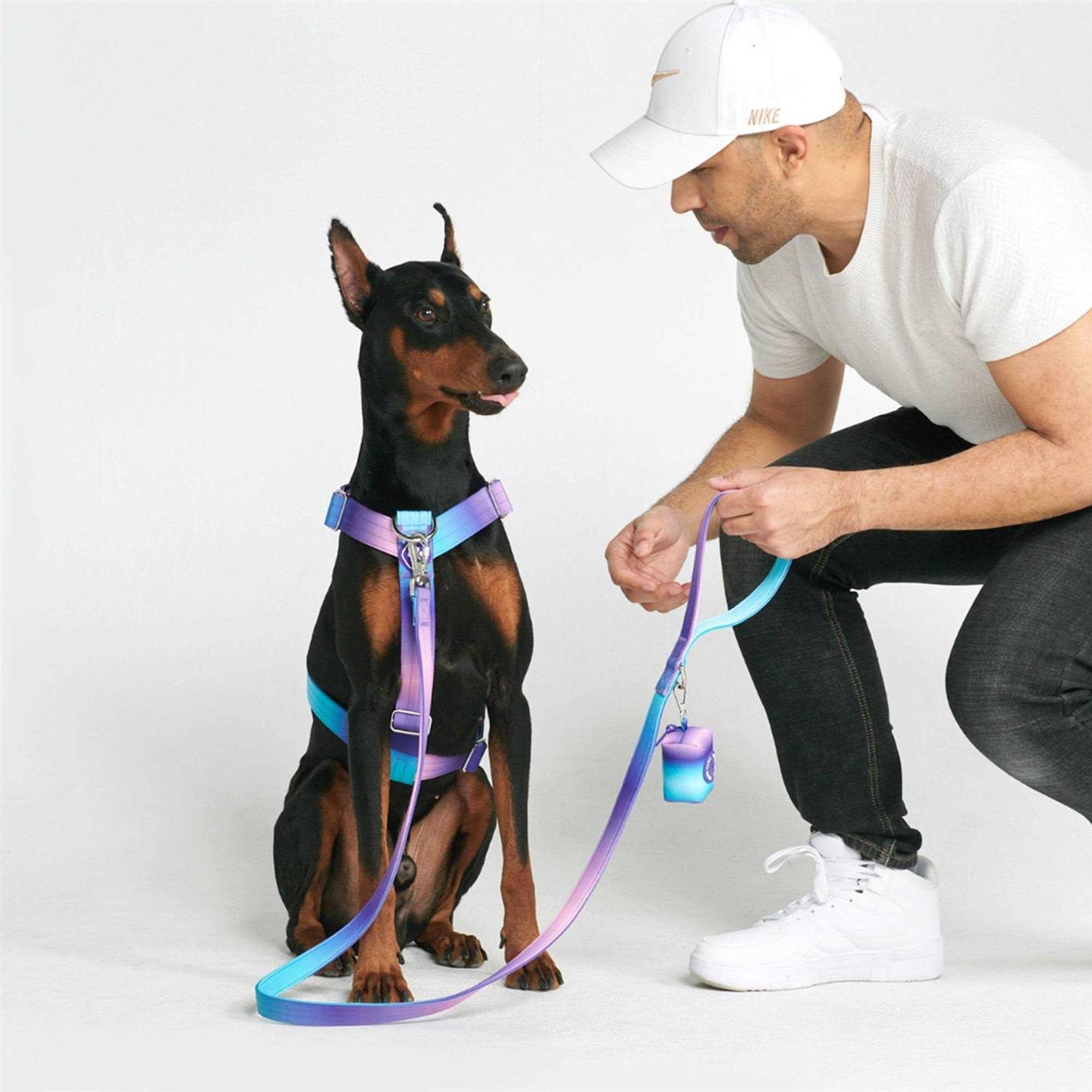 Spark Paws No-Pull Dog Harness Designed for Safety and Control