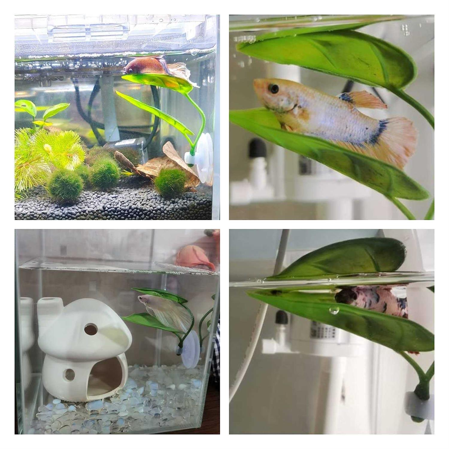 Betta Fish Leaf Pad Simulating The Natural Habitat for Betta Spawning Grounds Breeding Resting Bed Plastic Suction Cup