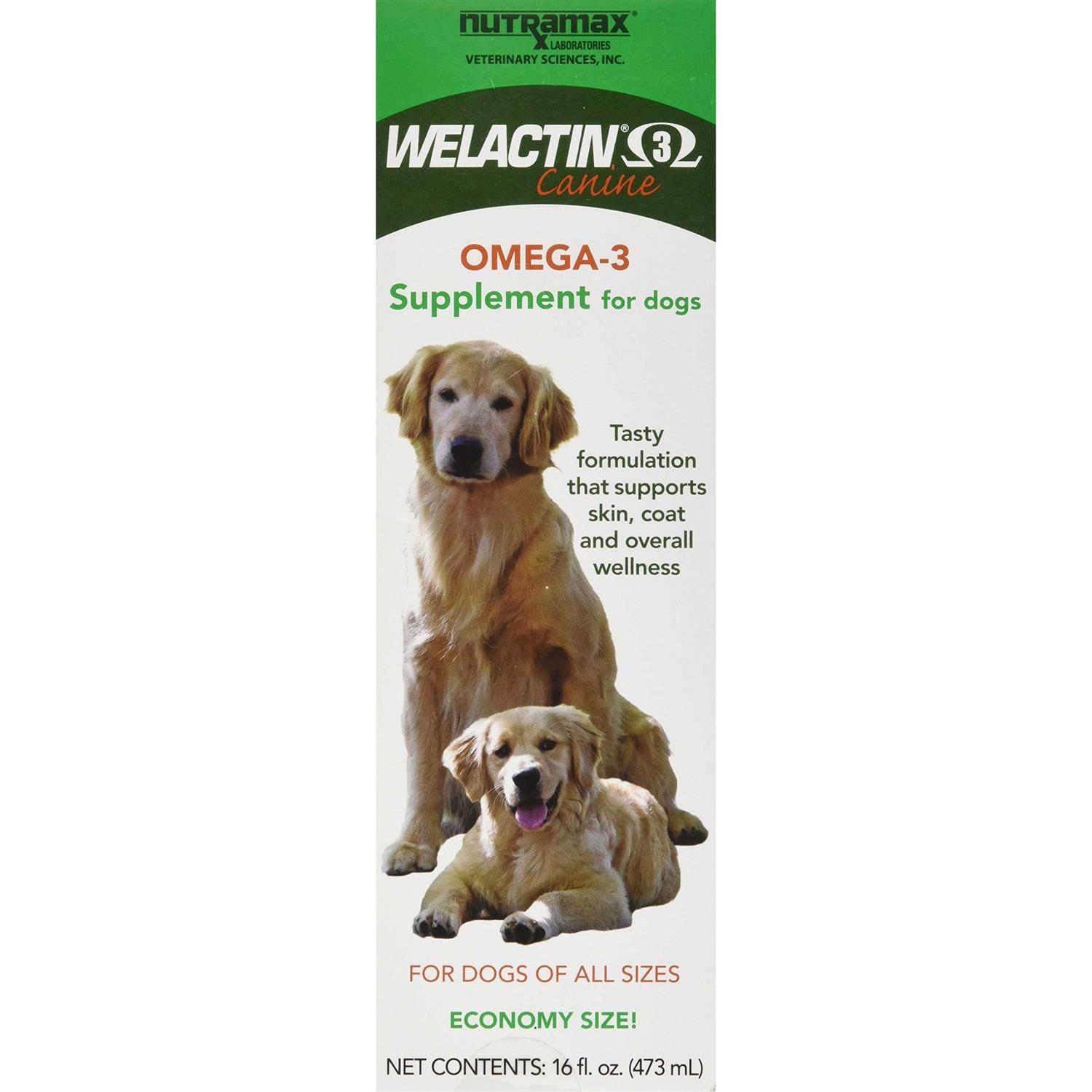 Nutramax Welactin Omega-3 Liquid Skin & Coat Supplement for Dogs