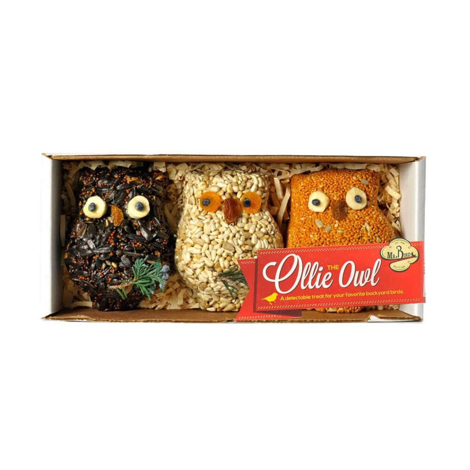 Mr. Bird Ollie Owl Bird Seed Ornaments