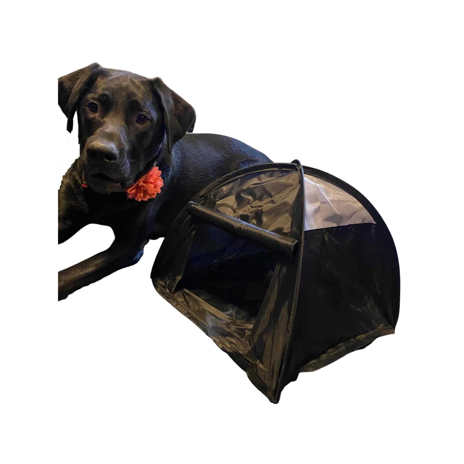 Pop Up Dog Tent