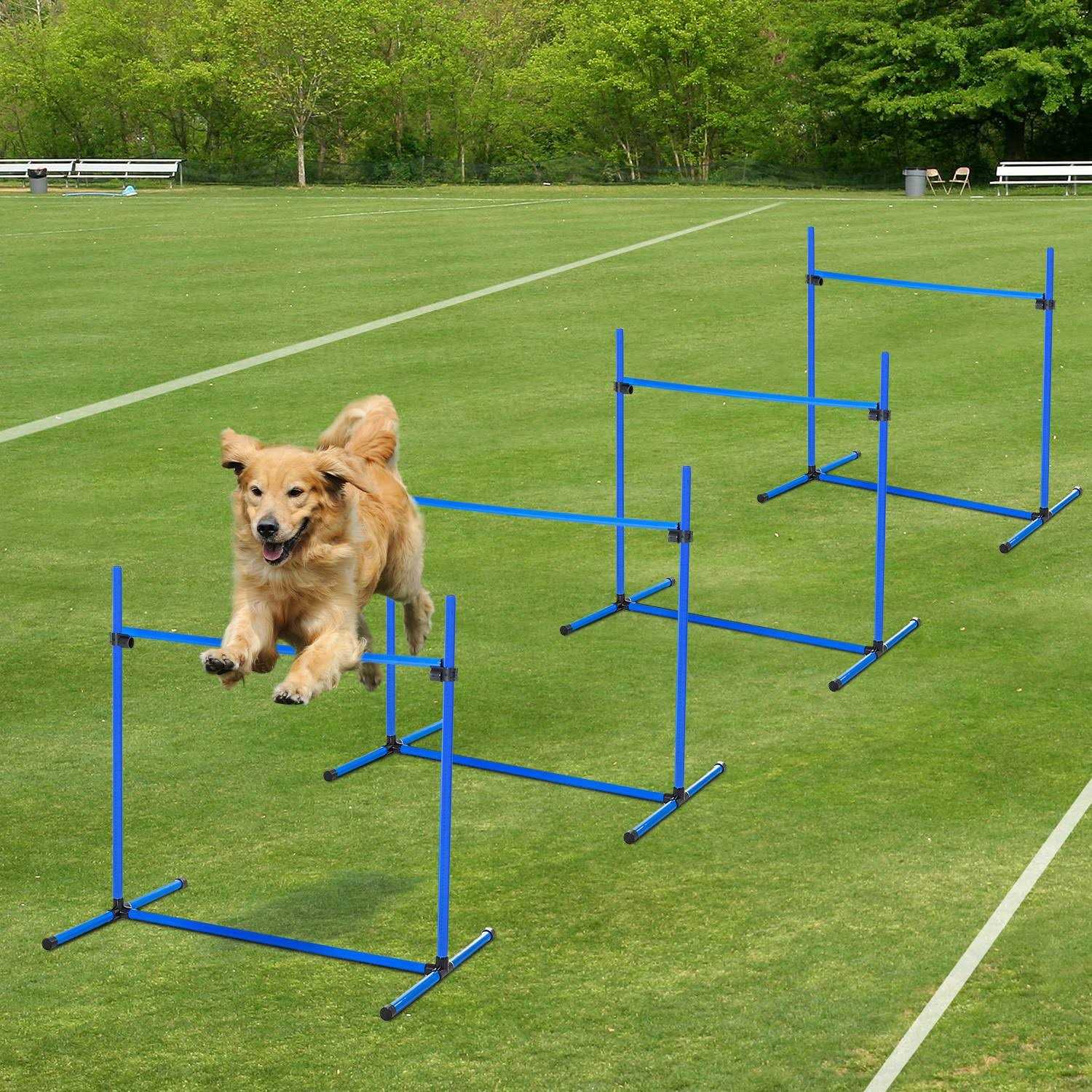 Pawhut 4 Piece Dog Agility Equipment with Adjustable Height Jump Bars