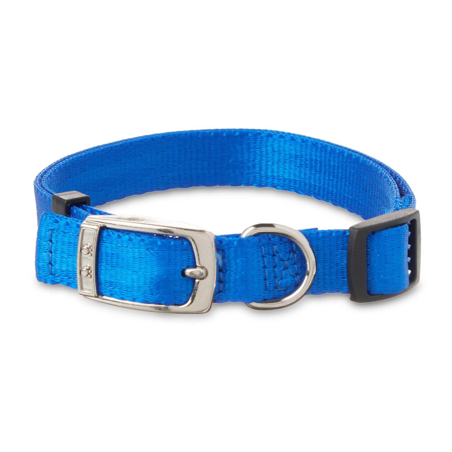 Vibrant Life Solid Dog Collar with Metal Buckle