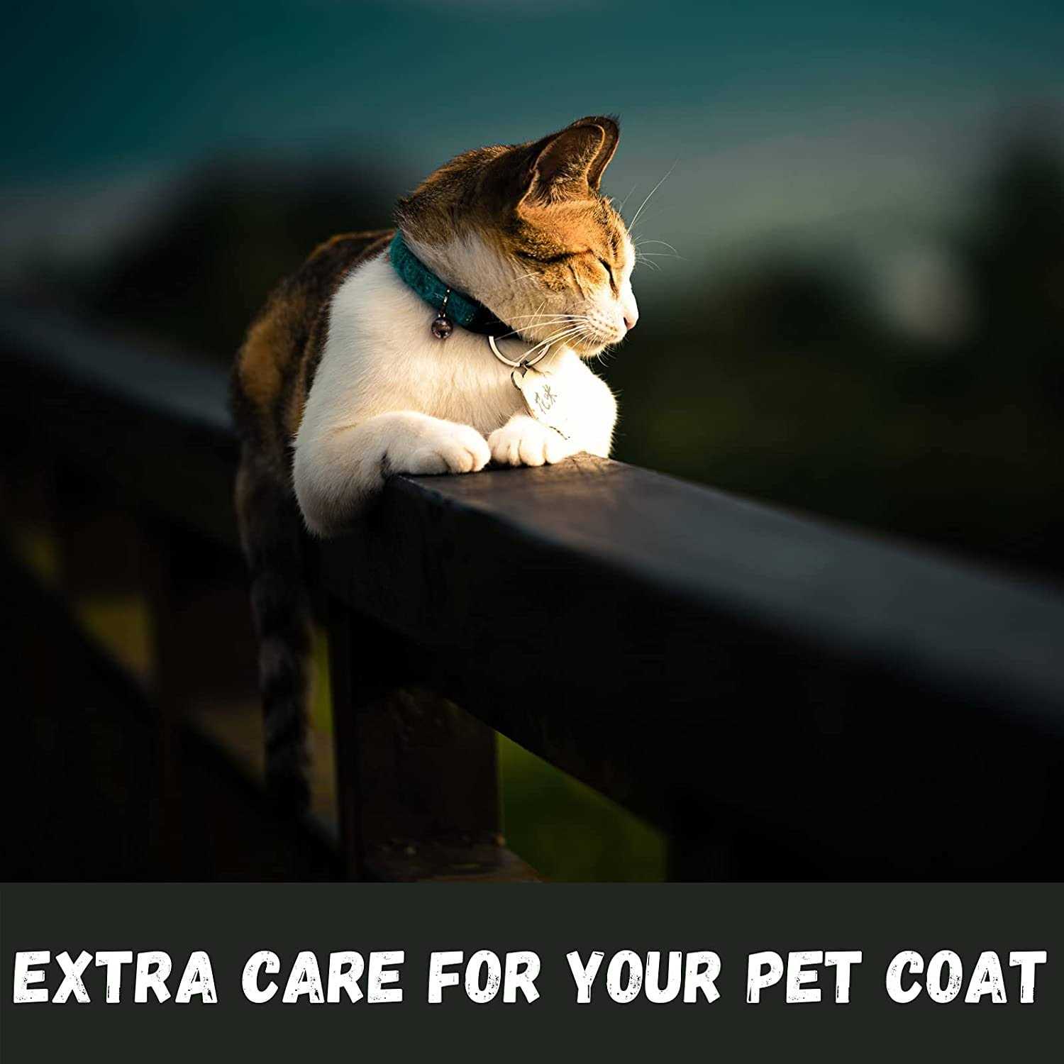 Bio Groom Purrfect White Cat Shampoo