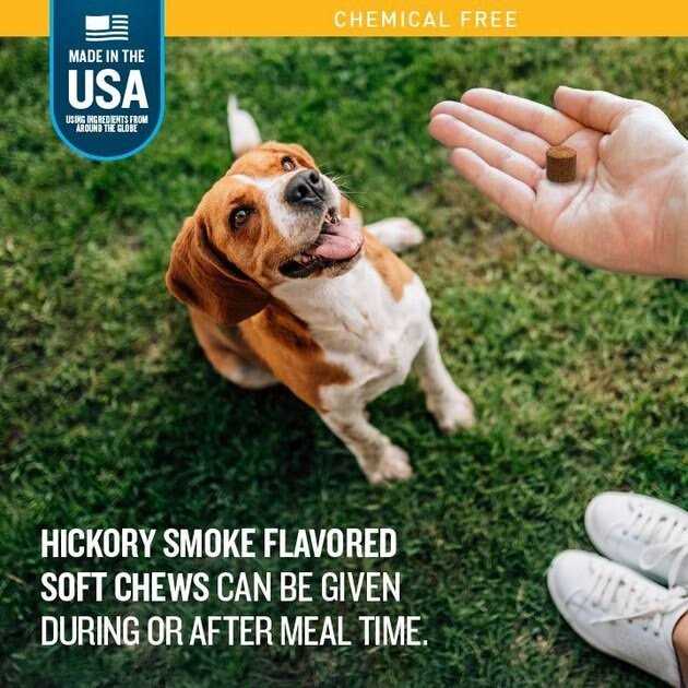VetIQ Hickory Smoke Flavored Soft Chews Flea & Tick Support for Dogs