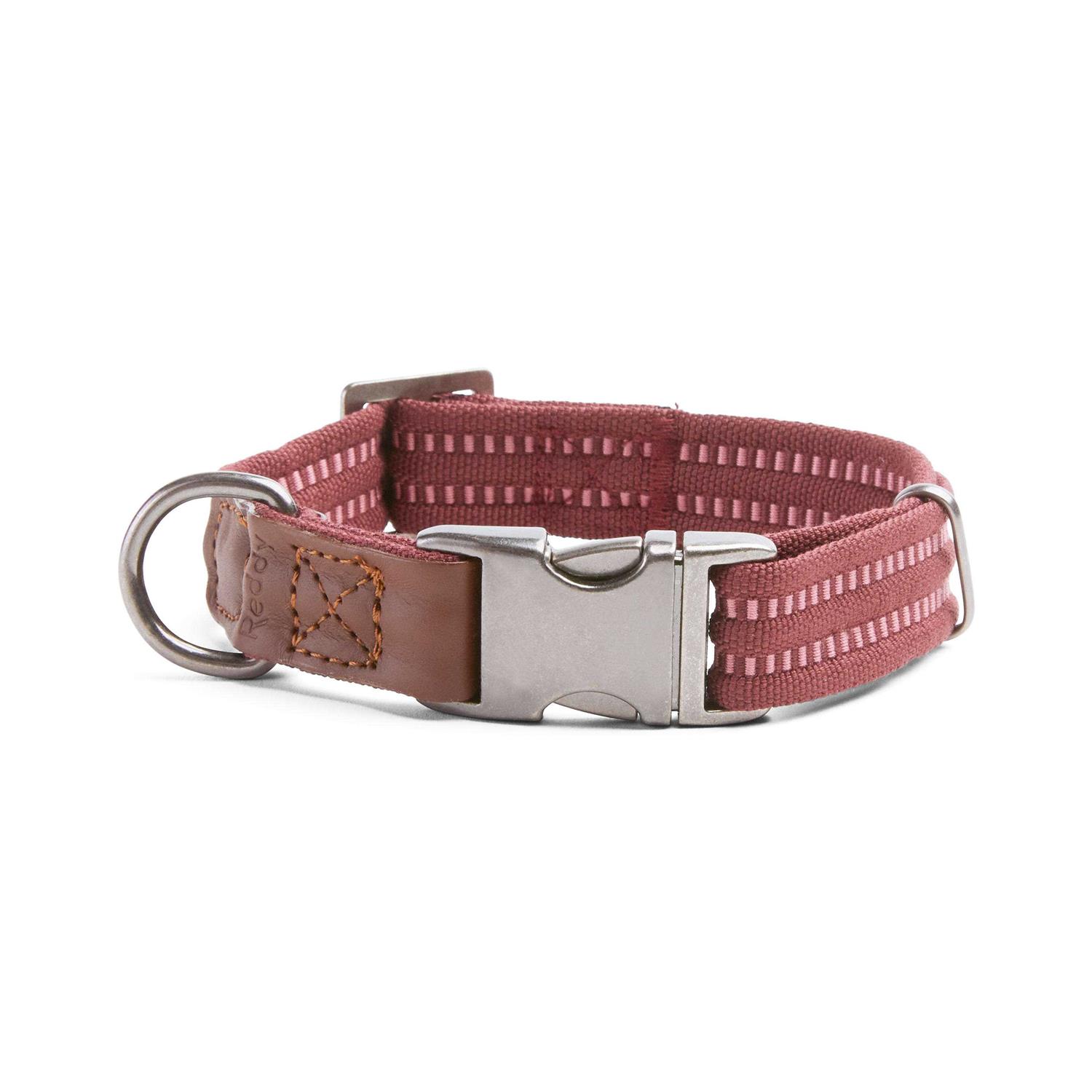 Reddy Webbed Dog Collar
