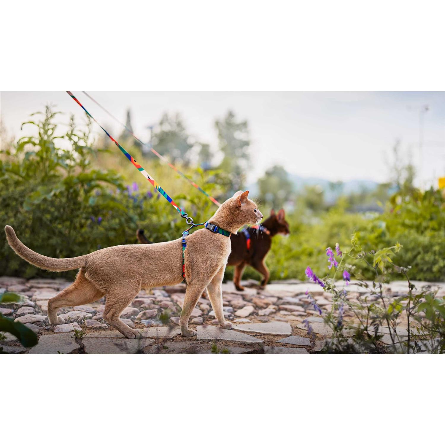 pidan Cat Harness and Leash Set Cats Escape Proof Adjustable Kitten Harness for Large Small Cats