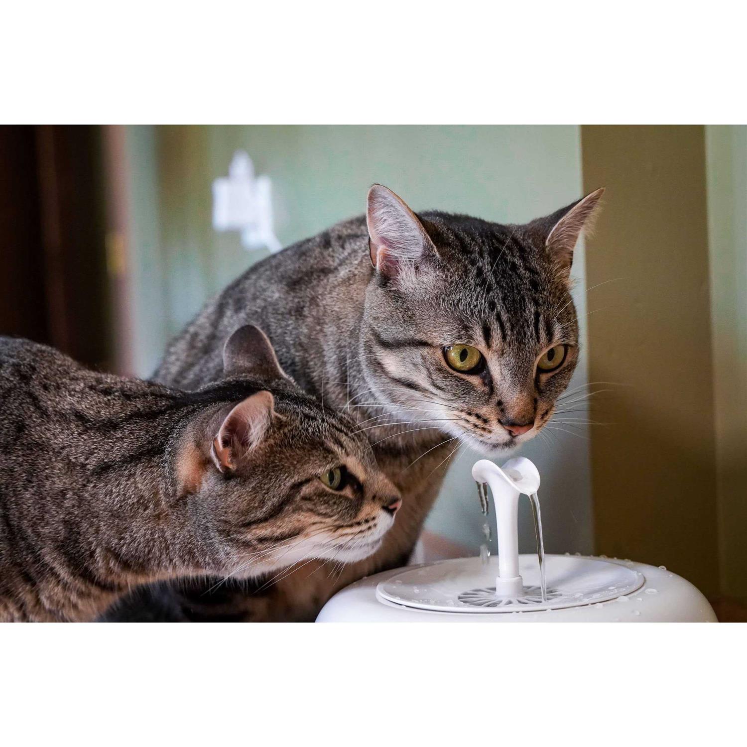 IntelliLeash PURRoducts Purrfect Water Fountain for Cats and Small Dogs with Premium 5-Layer Filter That Lasts Up To Two Months. Splash Free and Tip