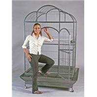 Spunky Pup Snack & Chew Antler