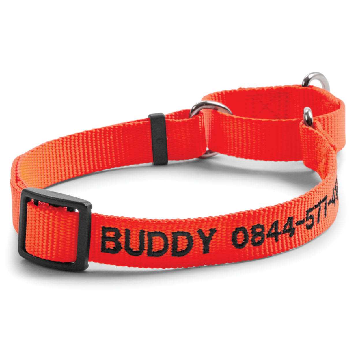 Orvis Dog’S Martingale Collar