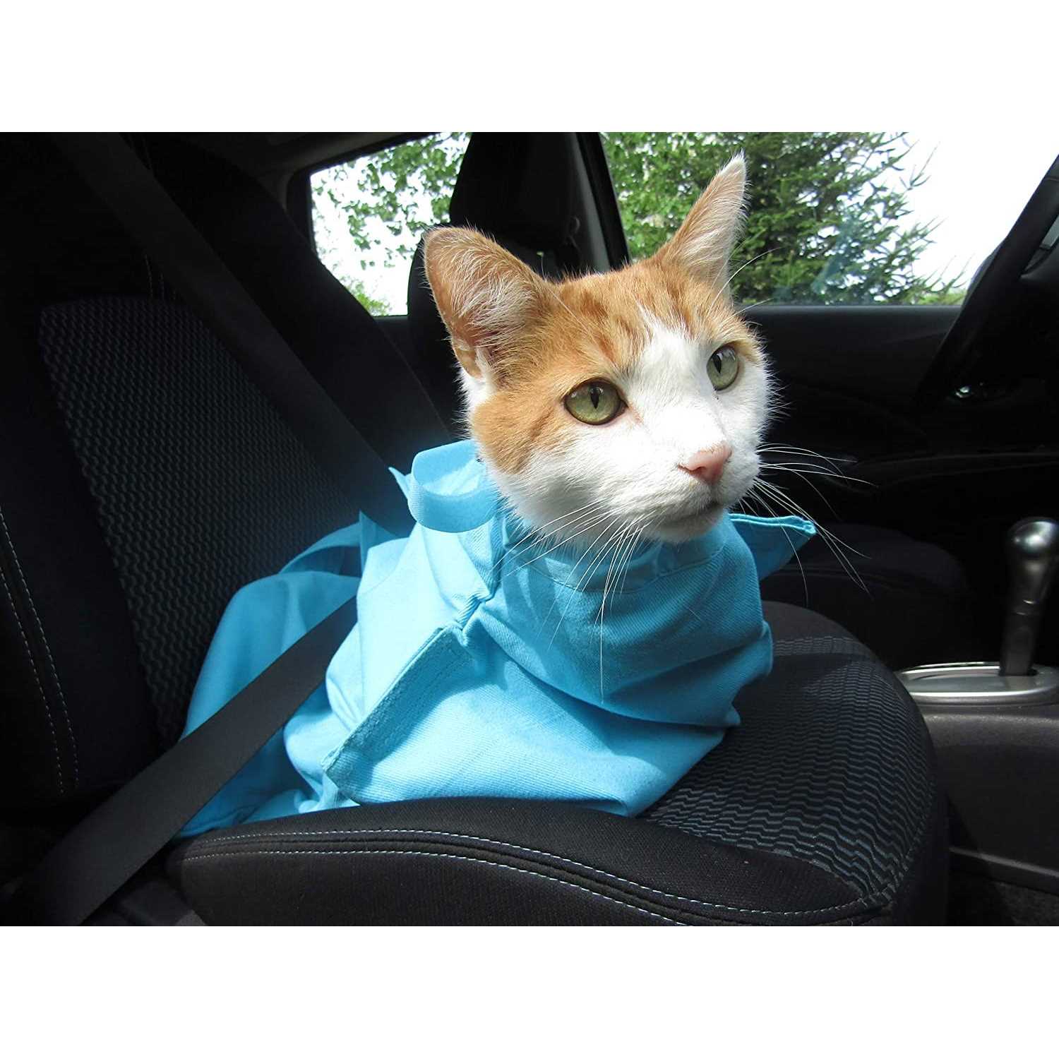 Cat-in-the-Bag Cozy Comfort Carrier