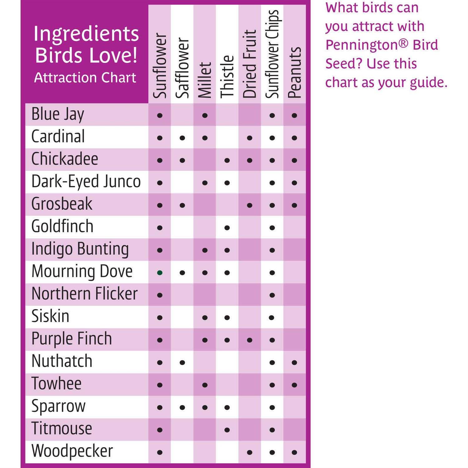 Pennington Ultra Fruit & Nut Blend Wild Bird Seed and Feed