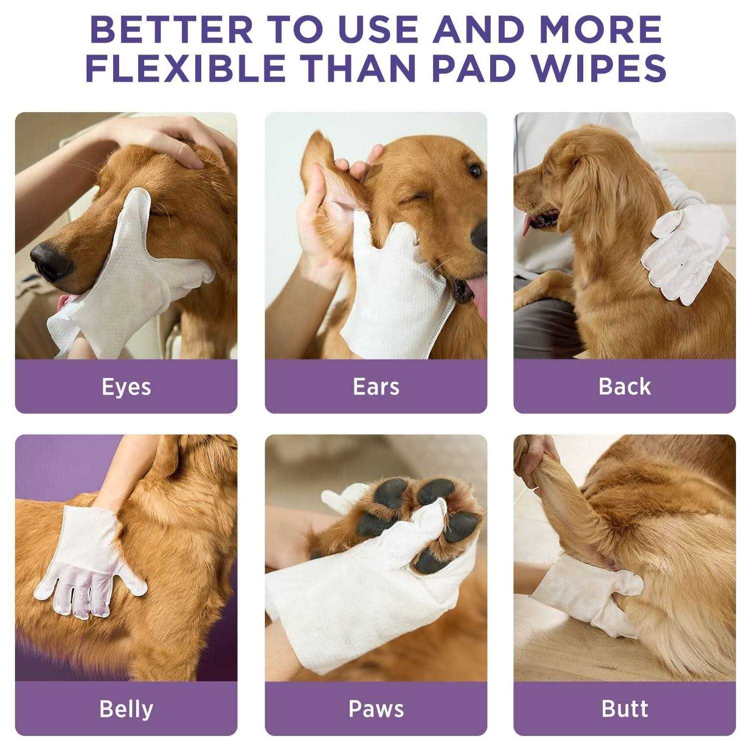 HICC Pet Deodorizing Pet Glove Wipes 20 pc