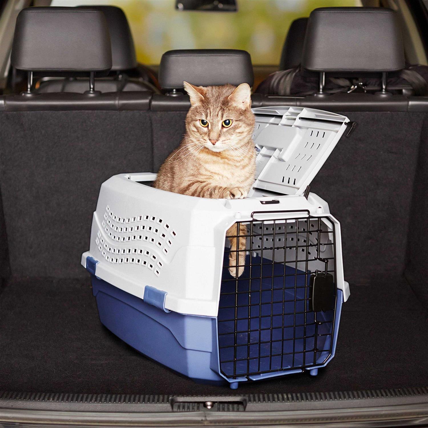 Amazon Basics Basics Two-Door Top-Load Hard-Sided Pet Travel Carrier