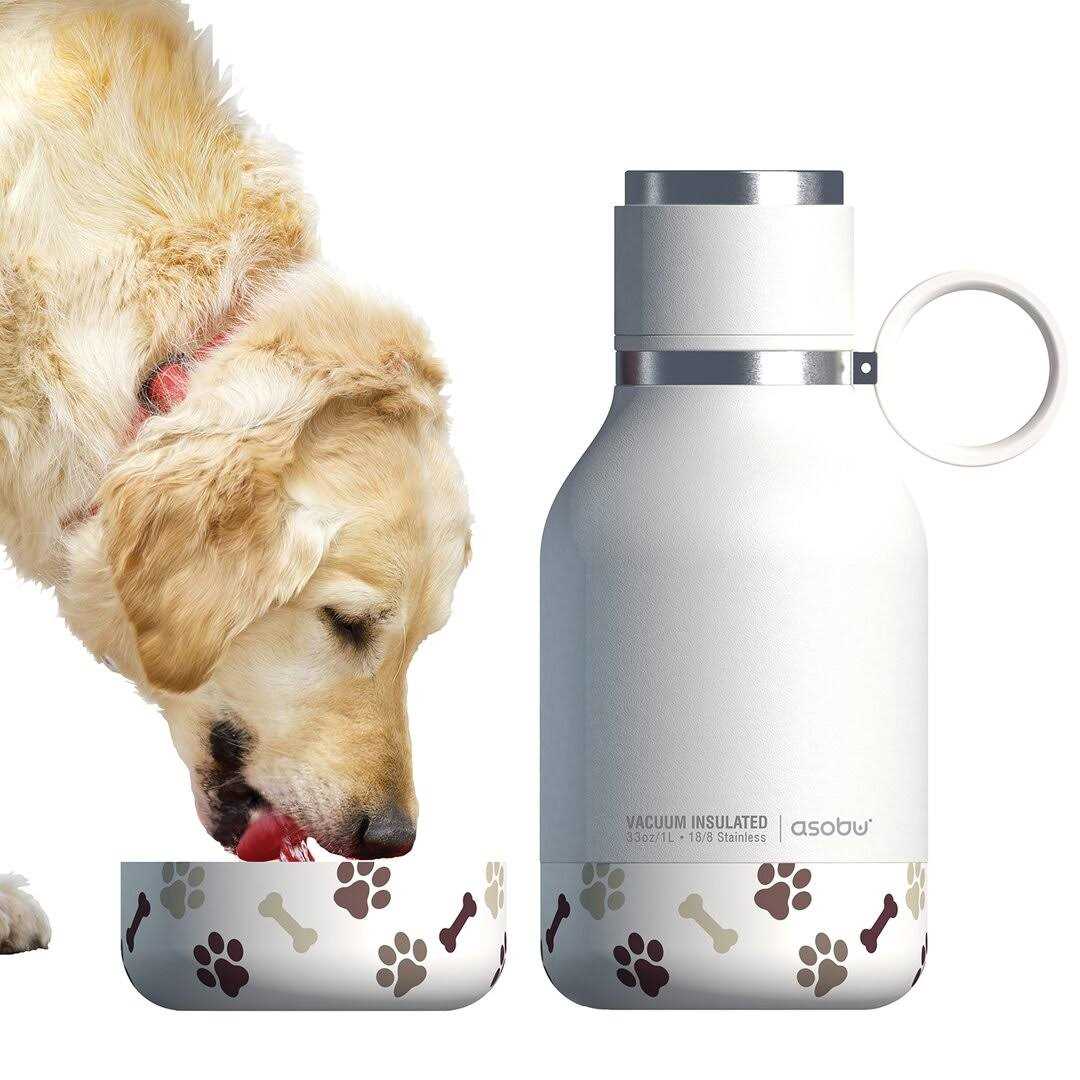 Asobu Dog Bowl Bottle