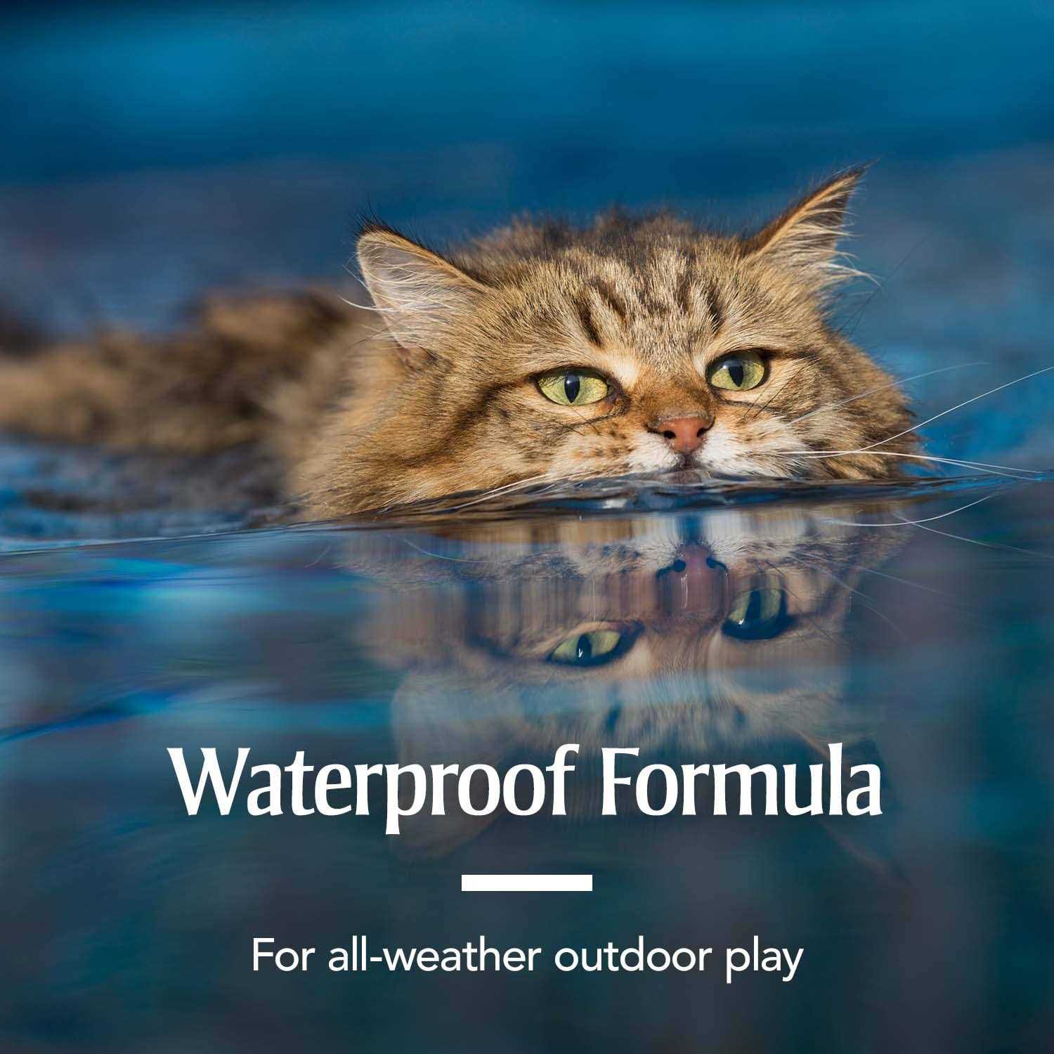 PetArmor Flea & Tick Spot Treatment for Cats